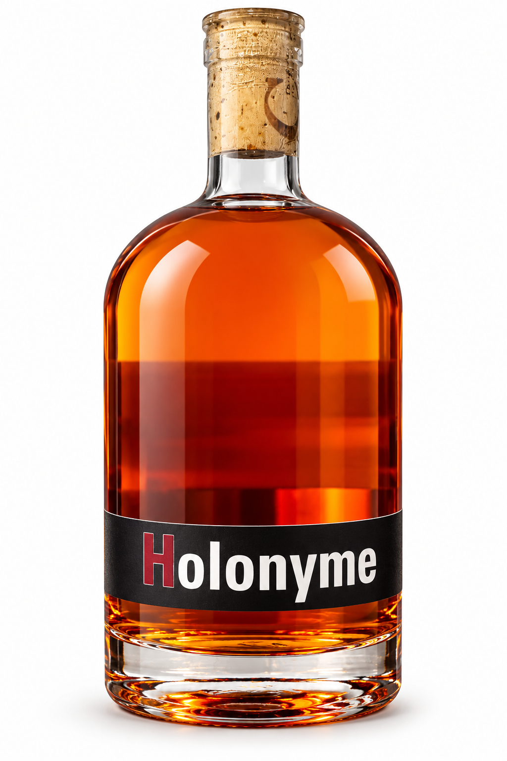 Holonyme