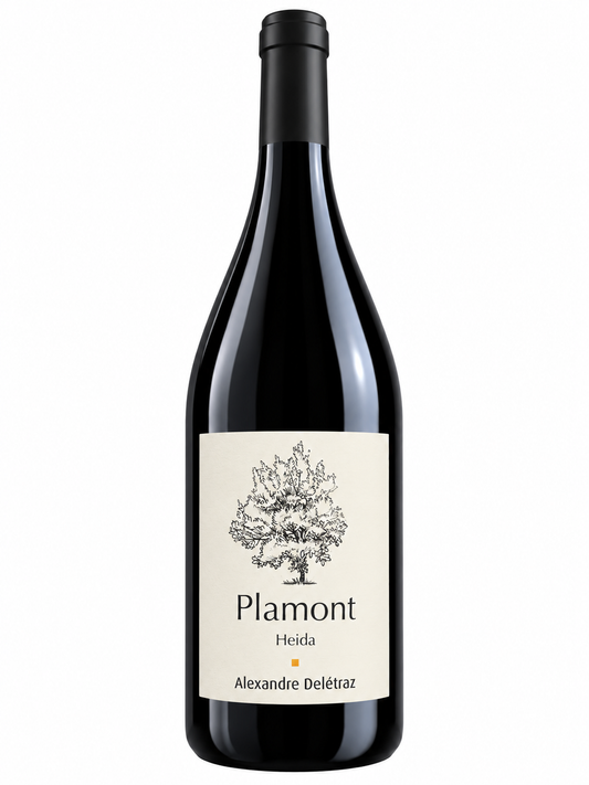 Heida Plamont 2024