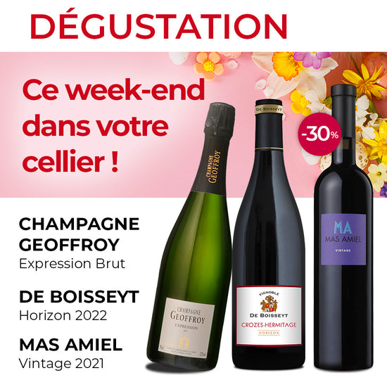 Dégustation du weekend : Champagne Geoffroy "Expression Brut", Domaine De Boisseyt "Horizon" 2022 et Mas Amiel "Vintage rouge" 2021 avec le chocolat
