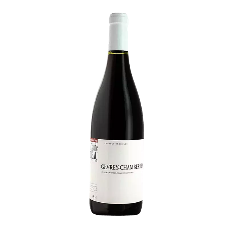 Gevrey Chambertin 2023